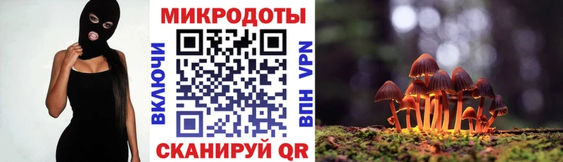 Галлюциногенные грибы Psilocybine cubensis  Купить закладки  Купино 